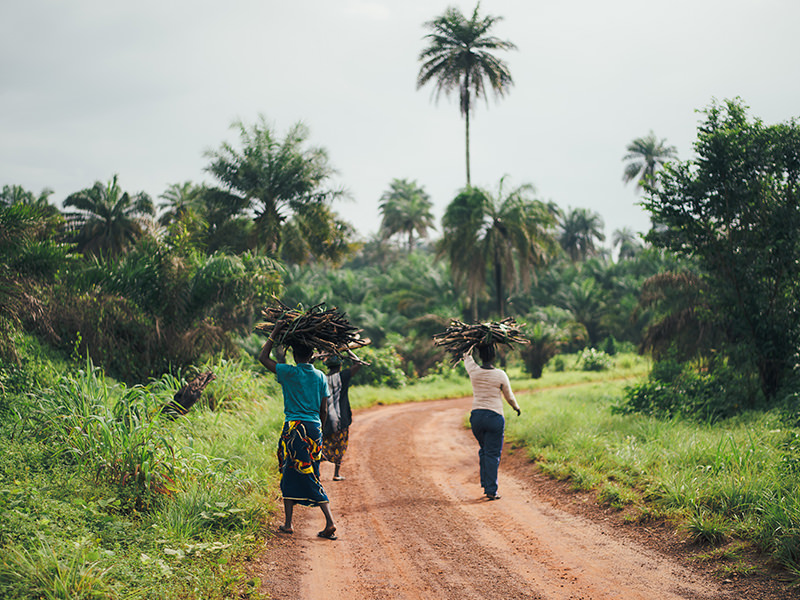 People Walking down a Road Carrying Wood on their Heads 1